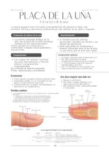 Folleto Fibra de Vidrio